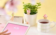 HIPPERS Cherry Blossom Series - Travel Pick