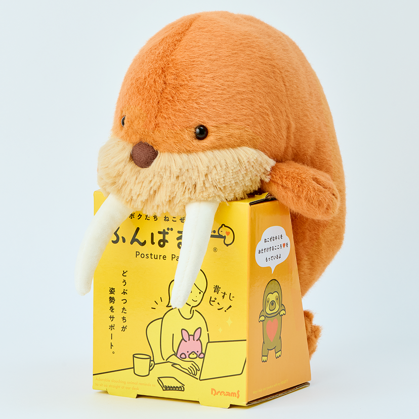 Posture Pal - Marine - Dream Display