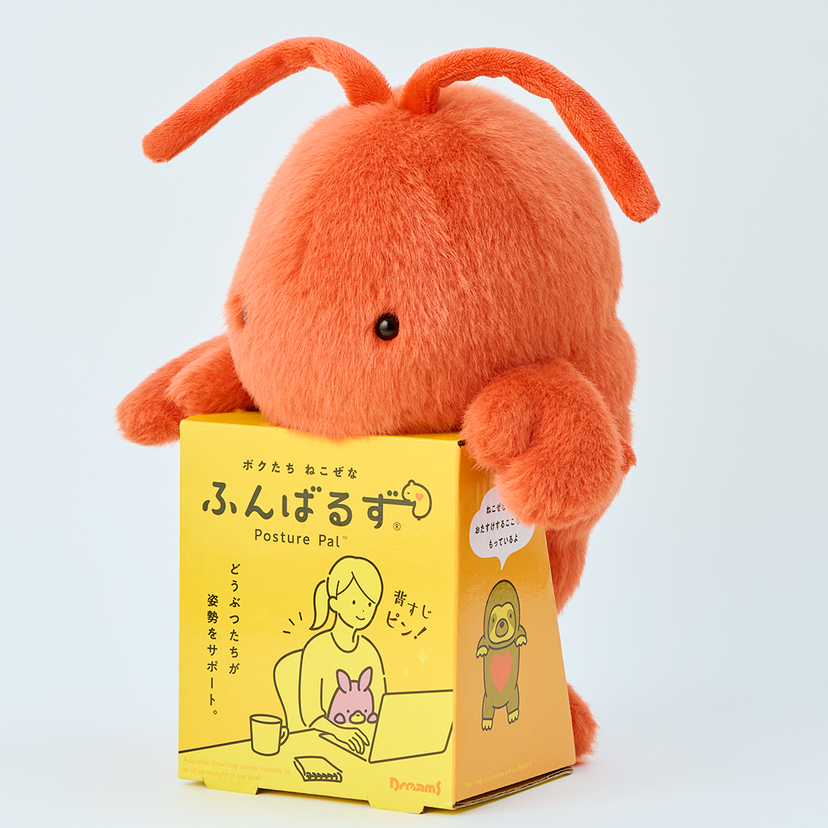 Posture Pal - Marine - Dream Display