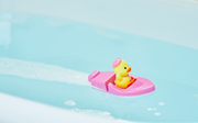 Duck Sailor Boat - Collector Pick