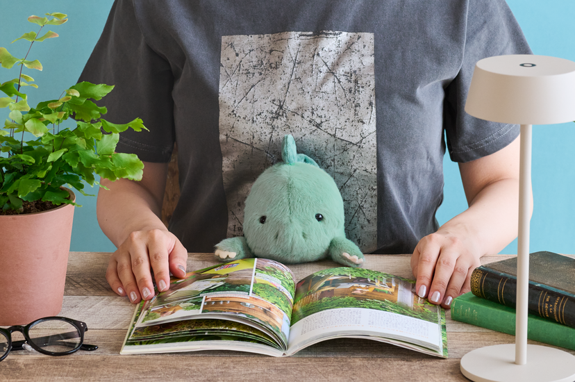 Posture Pal - Dinosaur - Collector Pick