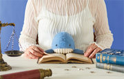 Posture Pal - Marine - Gift Ready