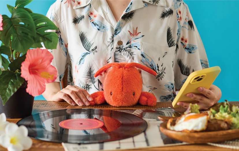 Posture Pal - Marine - Dream Display