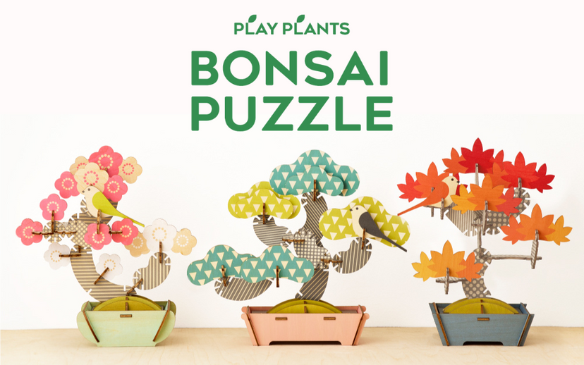 Play Plants Bonsai Puzzles - Gift Accent