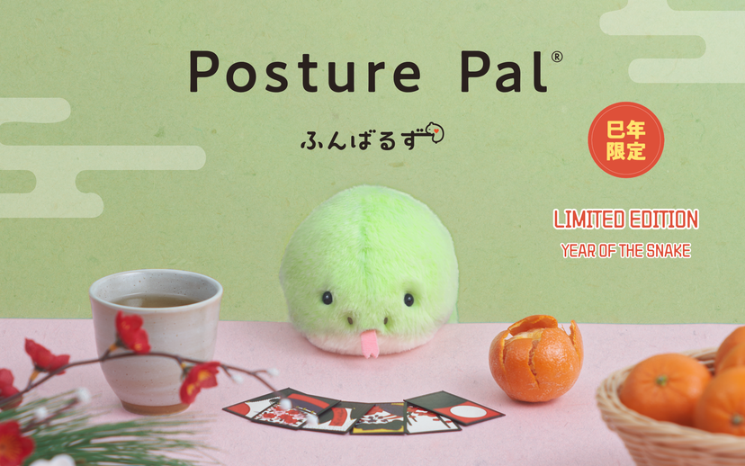 Posture Pal - Little Accent